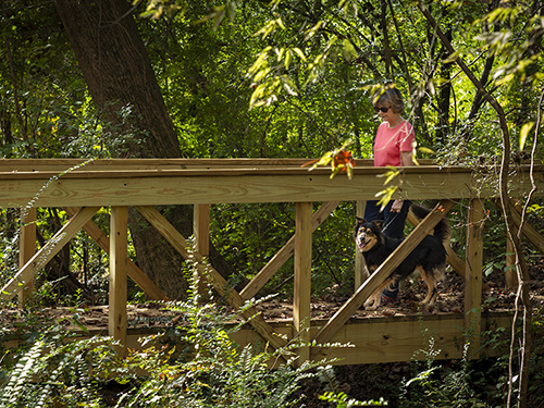 Woman walking her dog along nature trail>